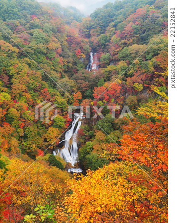 秋葉霧秋天瀑布 22152841