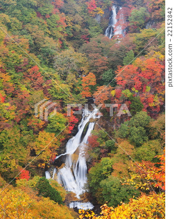Kirifuri Falls in autumn colors 22152842
