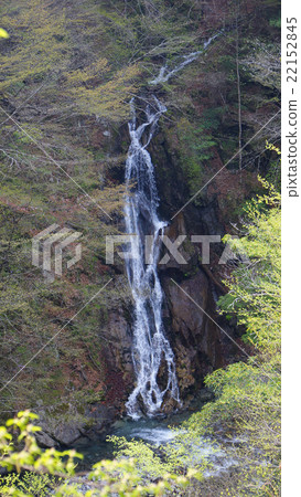 Nishizawa Valley 22152845