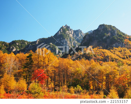 Mt. Ruisan in autumnal leaves 22153157