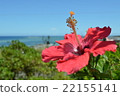 Hibiscus Okinawa Resort Aozora Natsu 22155141