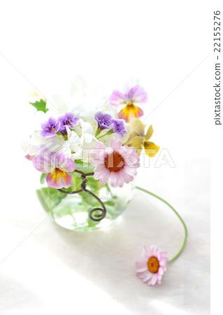 Arrangement of florets 22155276