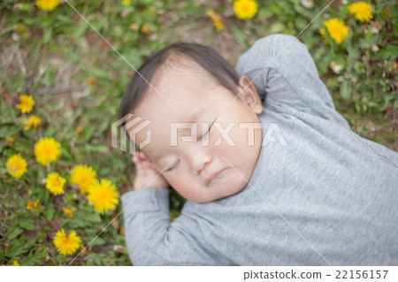 baby, infant, child 22156157