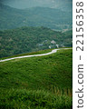 One road of fresh green 22156358