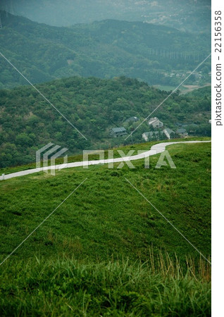 One road of fresh green 22156358