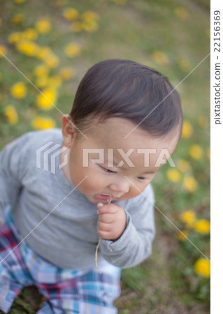 嬰兒 寶寶 寶貝 22156369