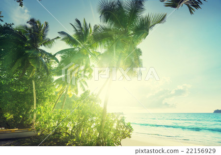 sunset on the beach, Mahe island, Seychelles 22156929