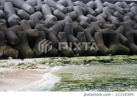 Tetrapod  22158384