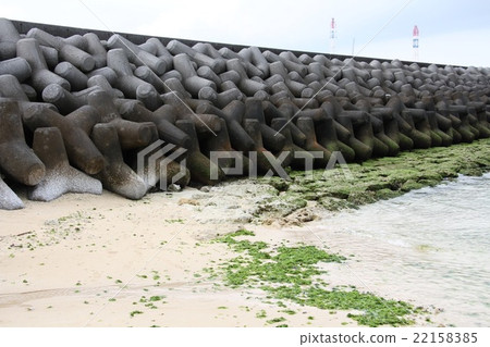 Tetrapod  22158385