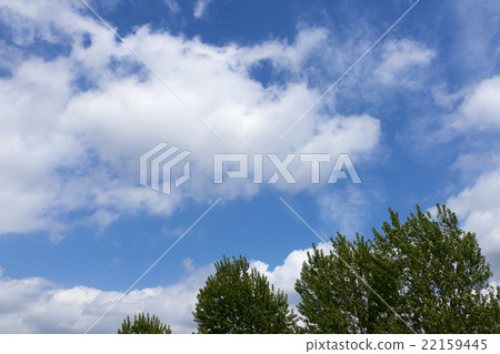 Sky for background and clouds and trees 22159445