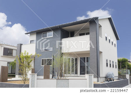 Residential Newly Built Housing Image Blue Sky Planting 22159447