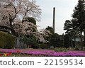 富岡絲綢爬行，櫻花和煙囪 22159534