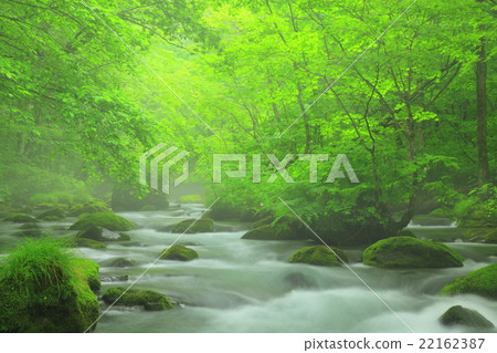 Oirase stream 22162387