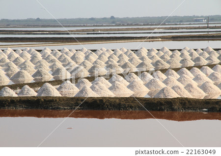 Salt field at Samut Sakhon, Thailand 22163049