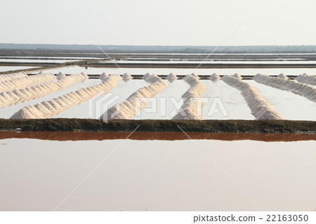 Salt field at Samut Sakhon, Thailand 22163050