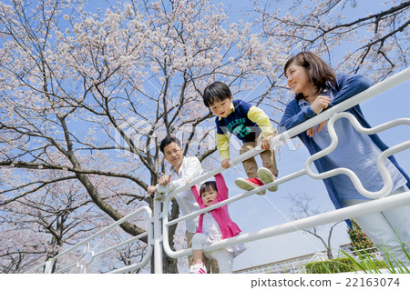 Four people who play in the cherry-blossom promenade Four people who play in the cherry-blossom promenade 22163074