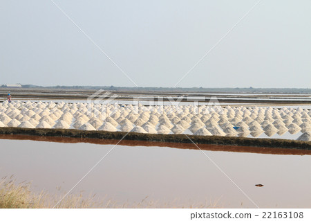 Salt field at Samut Sakhon, Thailand Salt field at Samut Sakhon, Thailand 22163108
