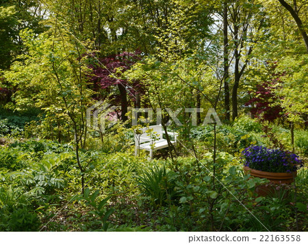 White bench in fresh green 22163558