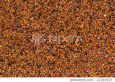 Kaniwa: kañiwa (baby quinoa) Kaniwa: kañiwa (baby quinoa) 22163815