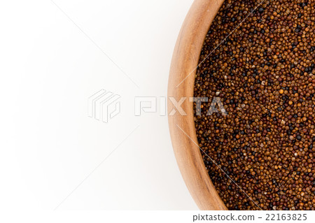 Kaniwa：kañiwa（嬰兒藜麥） 22163825