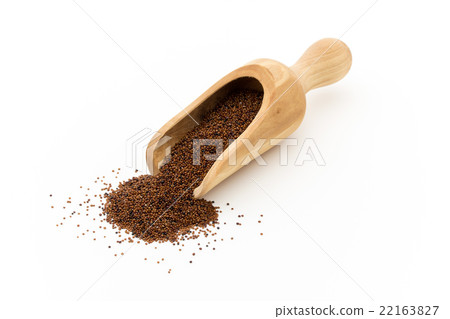 Kaniwa：kañiwa（嬰兒藜麥） 22163827