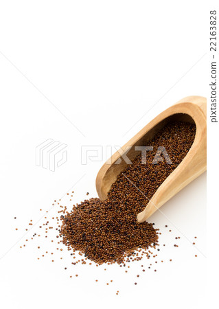 Kaniwa：kañiwa（嬰兒藜麥） 22163828