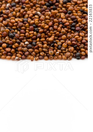 Kaniwa：kañiwa（嬰兒藜麥） 22163833