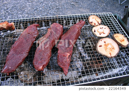 Kangaroo meat barbecue 22164349