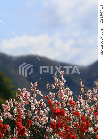 Hanamo no Sato 22164413