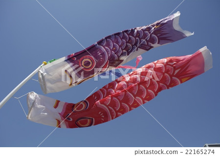 Carp streamer 22165274