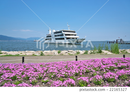 Hamadotsu in early summer 22165327