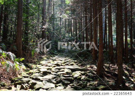 Kumano Kodo Magoshige Pass 22165643