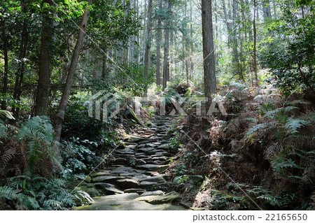 Kumano Kodo Magoshige Pass 22165650