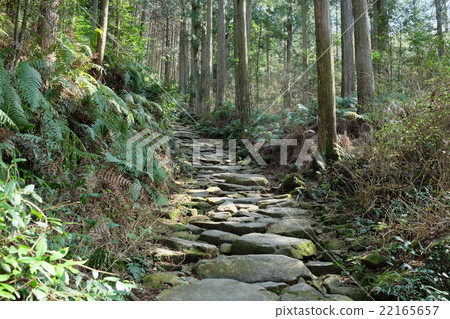Kumano Kodo Magoshige Pass 22165657