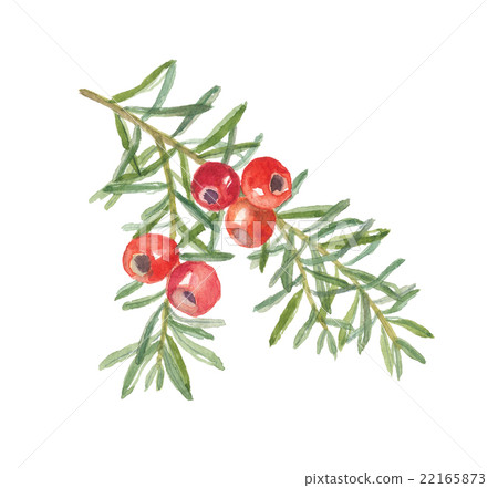 Fruit of every one Fruit of every one 22165873