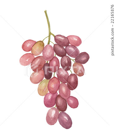 深紅無籽 深紅無籽 22165876