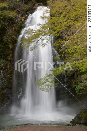 美濃saki瀑布2 22165961