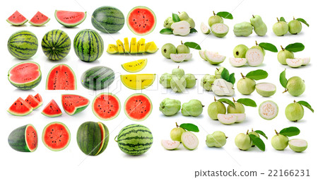 watermelon Guava (tropical fruit)  22166231