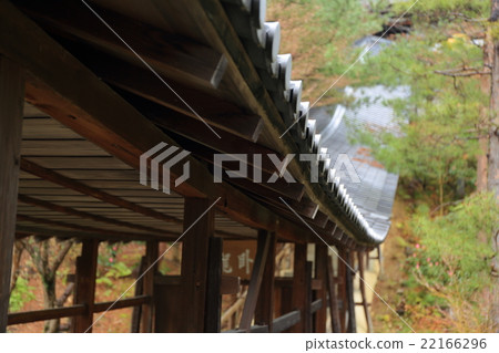 Kodaiji in the spring rain 22166296