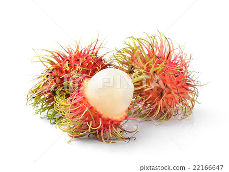 Fresh rambutan sweet delicious fruit   22166647