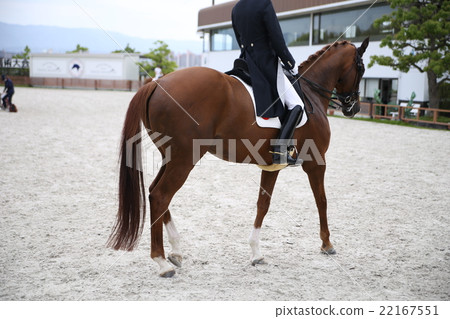 Equestrian convention Equestrian convention 22167551