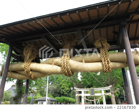 Large snaps in Akagi Shrine in Nagareyama city Large snaps in Akagi Shrine in Nagareyama city 22167830
