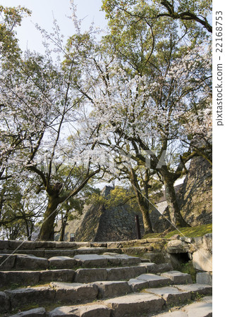 Kumamoto Castle Kumamoto Castle 22168753