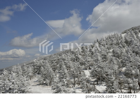 Taki Ikuhara · Zao in spring (Yamagata Prefecture) 22168773