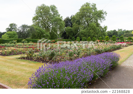 English garden 22168828