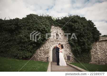Gorgeous newlywed posing near beautiful wall of 22169377