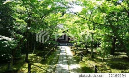 Gansenan (Yodoji) The approach to the main hall 22169694