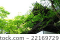Gansenan (Yodoji) bell tower 22169729