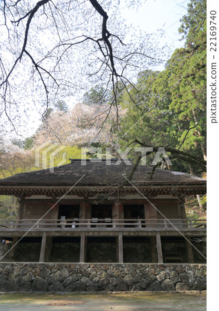 春天的Muroyukuji，“Kanpo” 22169740