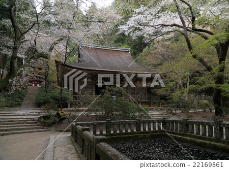 Muroyukuji Temple in spring "Honto (Iwodo)" with moats and "five-storied pagoda" Muroyukuji Temple in spring "Honto (Iwodo)" with moats and "five-storied pagoda" 22169861